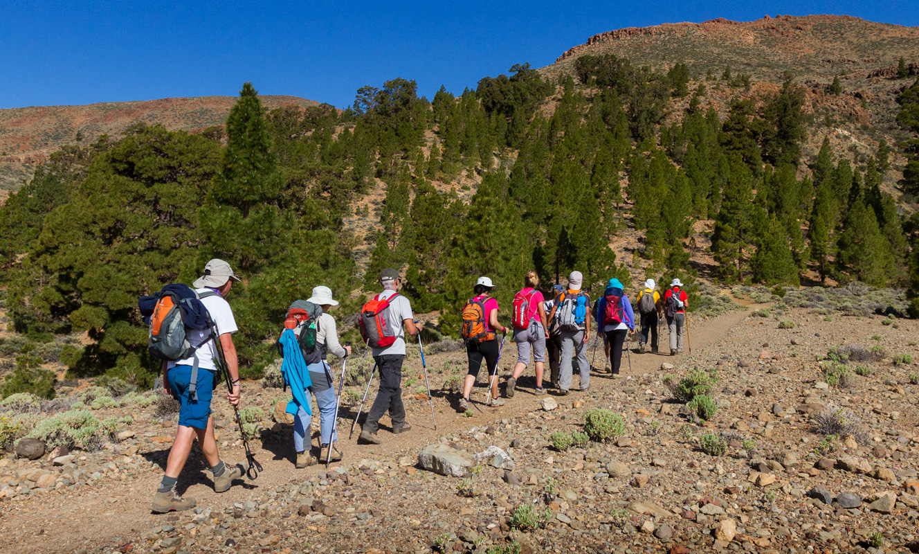 XIX Marcha Mar a Cumbre de Arico